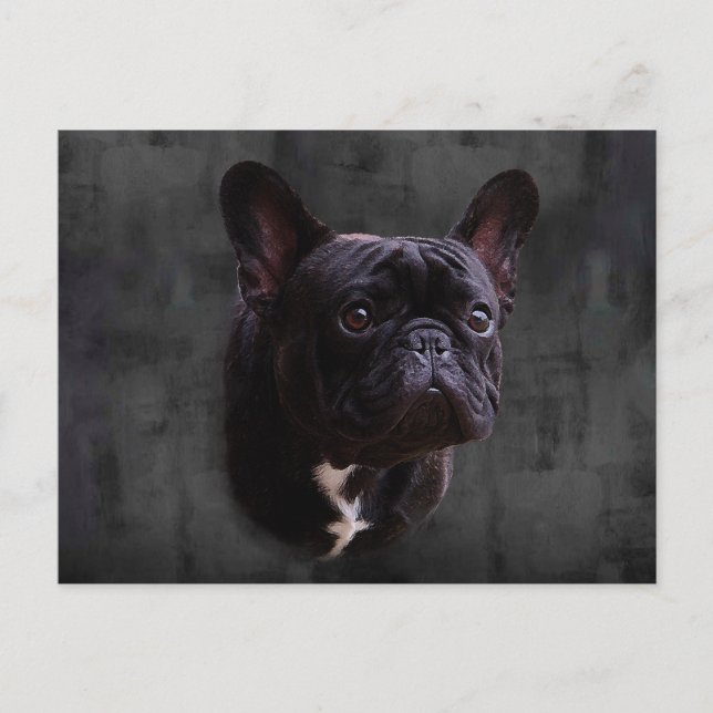 French Bulldog Postcard (Front)