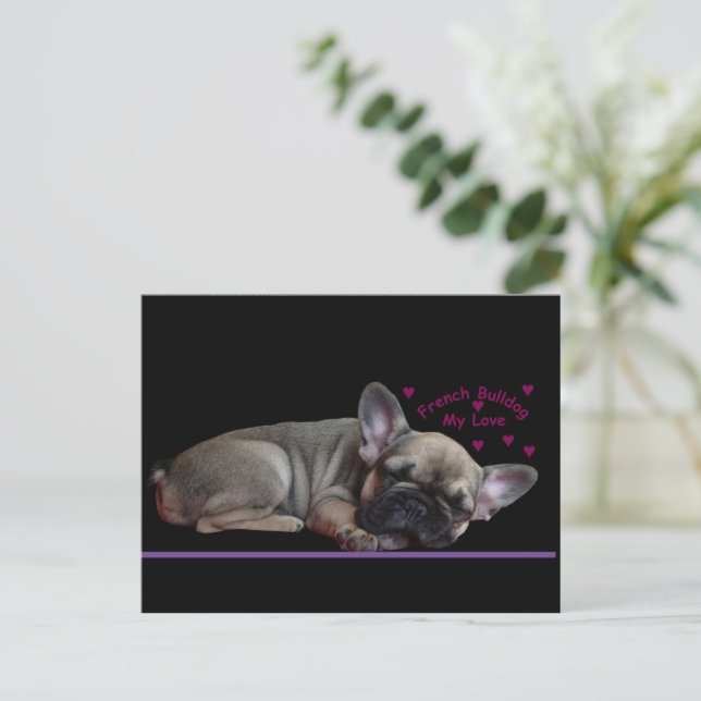 French bulldog postcard (Standing Front)