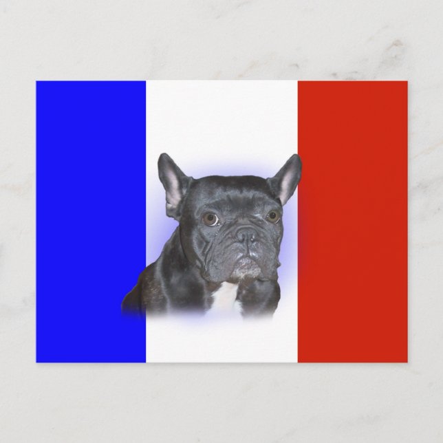 French Bulldog Postcard (Front)