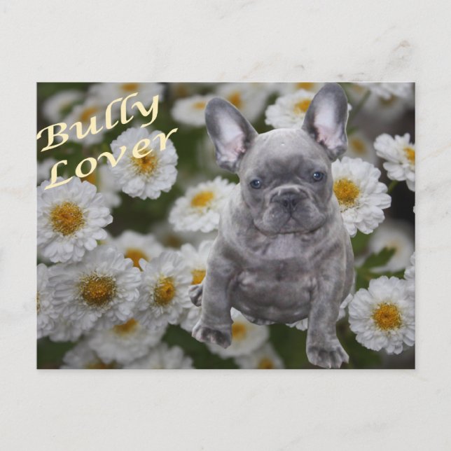French Bulldog postcard (Front)