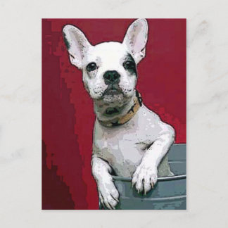French-Bulldog Postcard