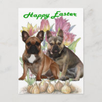 French Bulldog Postcard Easter