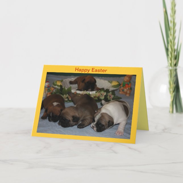 French Bulldog postcard Easter (Front)