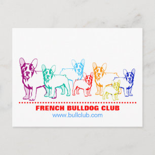 French Bulldog Postcards
