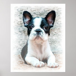 French bulldog poster