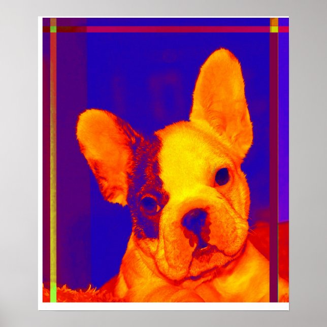 french bulldog poster (Front)