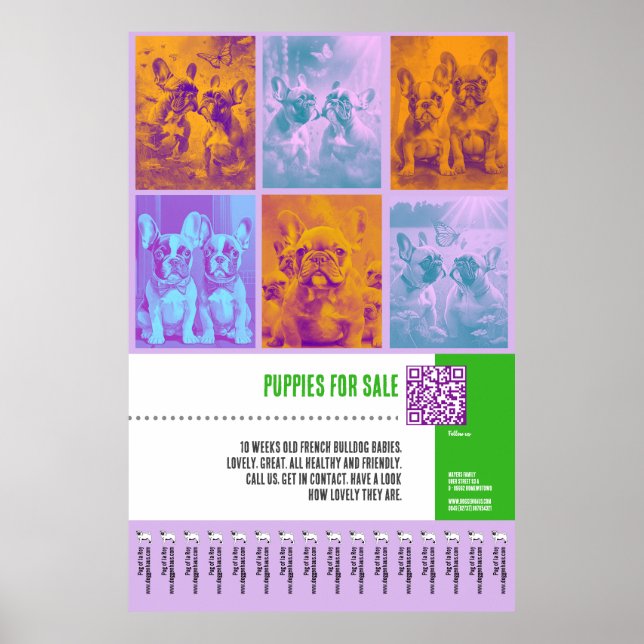 French Bulldog Puppies for Sale huge poster (Front)