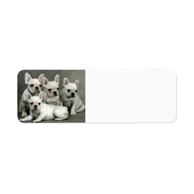 French Bulldog Puppies Return Address Label (Front)