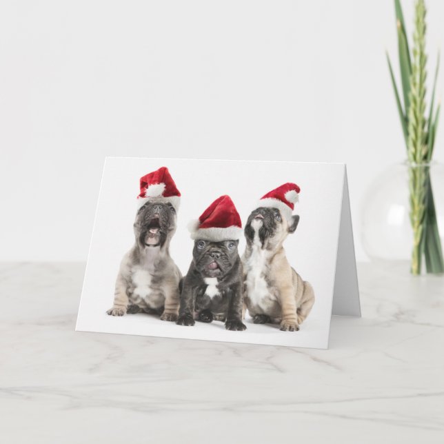 French bulldog puppies sing wearing Santa hats Holiday Card (Front)
