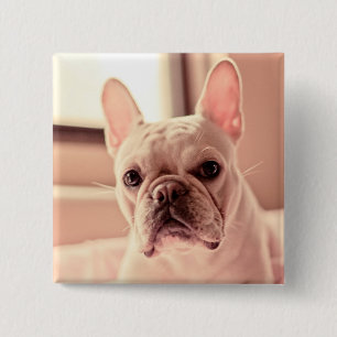 French Bulldog Puppy 15 Cm Square Badge