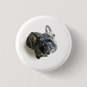 French Bulldog Puppy 3 Cm Round Badge