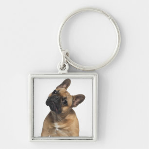 French Bulldog puppy (7 months old) Key Ring