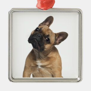 French Bulldog puppy (7 months old) Metal Ornament