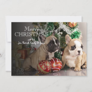French bulldog puppy and Christmas gifts Holiday Card