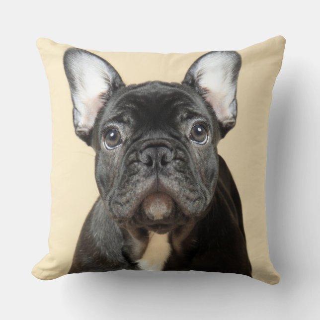 French Bulldog Puppy Cushion (Front)