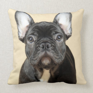 French Bulldog Puppy Cushion