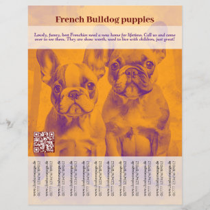 French Bulldog Puppy Flyer