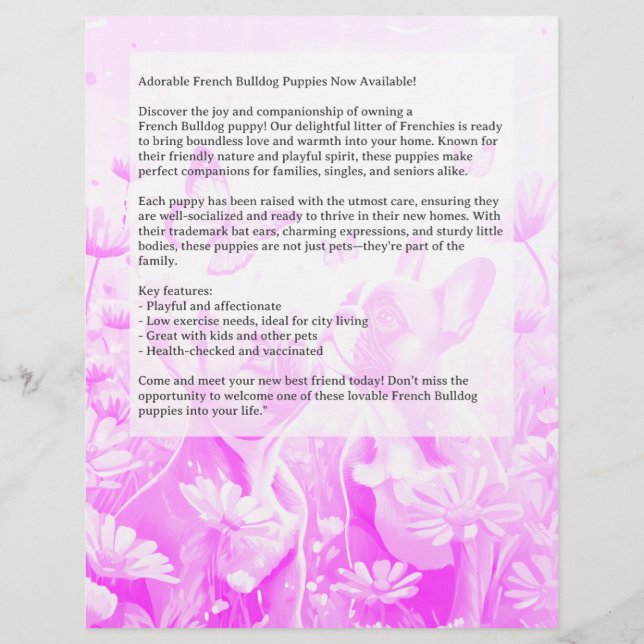 French Bulldog Puppy Flyer  (Back)