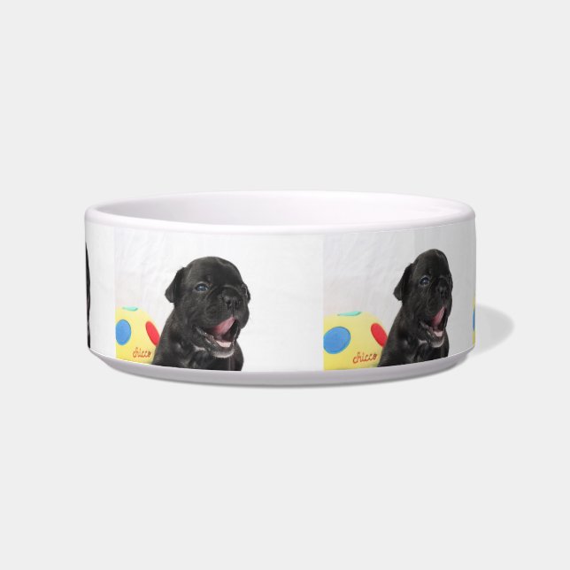French Bulldog Puppy French Bulldog Bowl (Front)