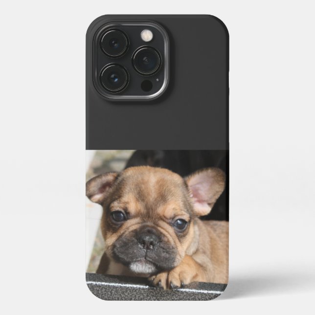 French Bulldog Puppy French Bulldog iPhone Case (Back)