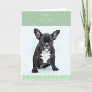 French Bulldog Puppy Happy Birthday Greeting Card