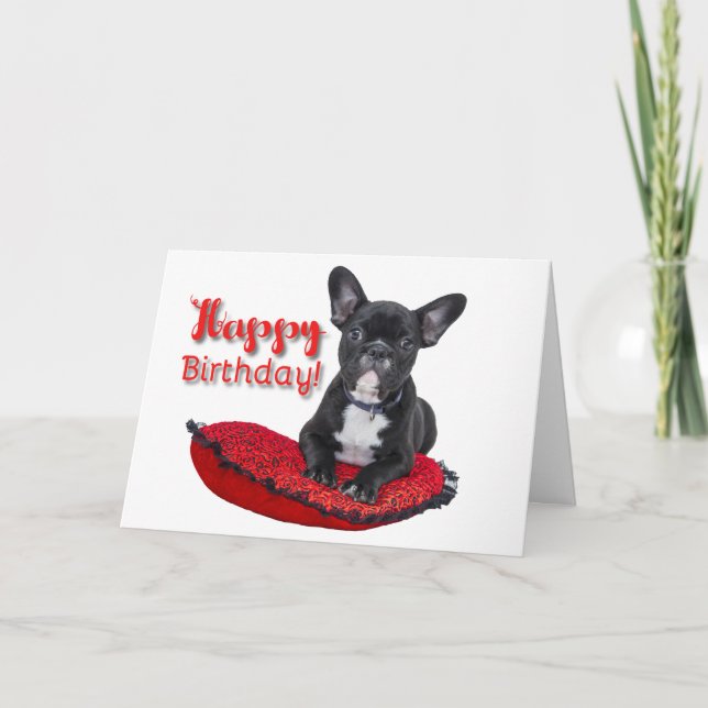 French Bulldog Puppy Happy Birthday Greeting Card (Front)