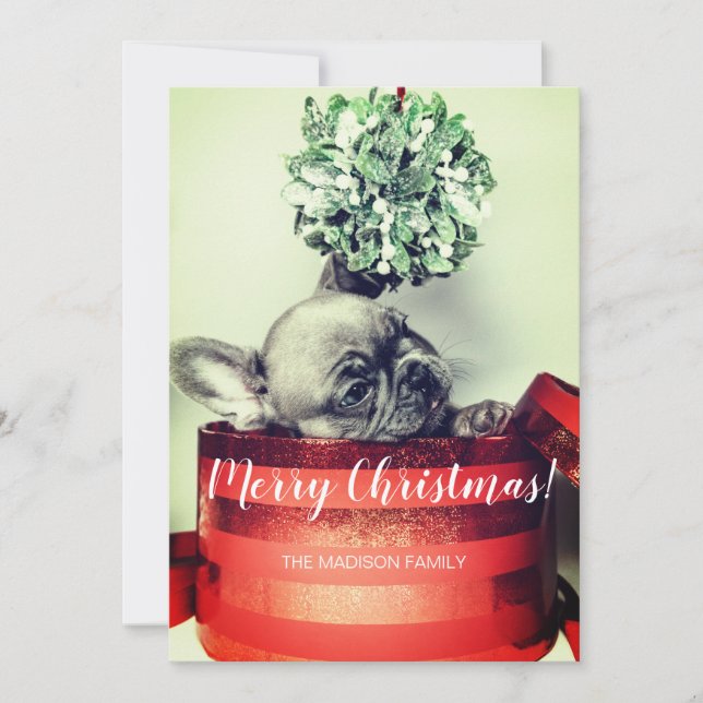 French Bulldog Puppy In Gift Box With Mistletoe Holiday Card (Front)