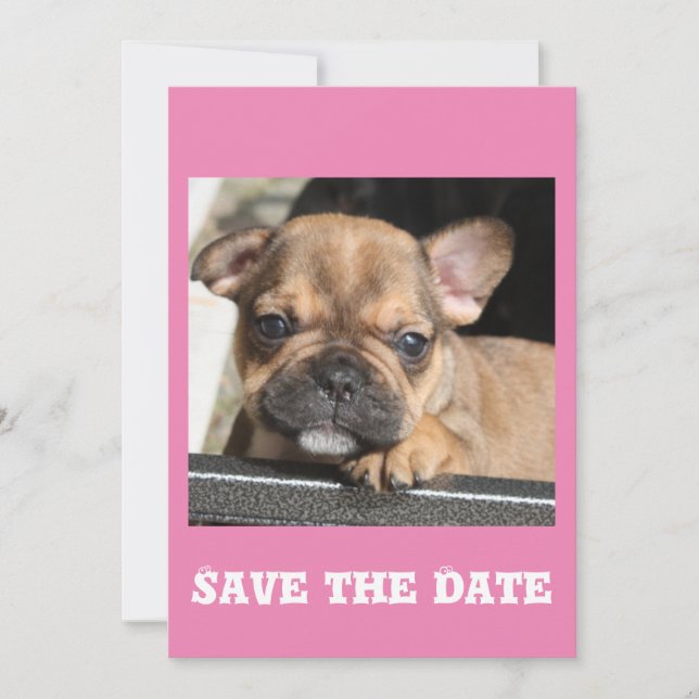 French Bulldog Puppy Invitation (Front)