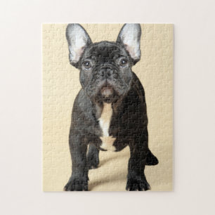 French Bulldog Puppy Jigsaw Puzzle