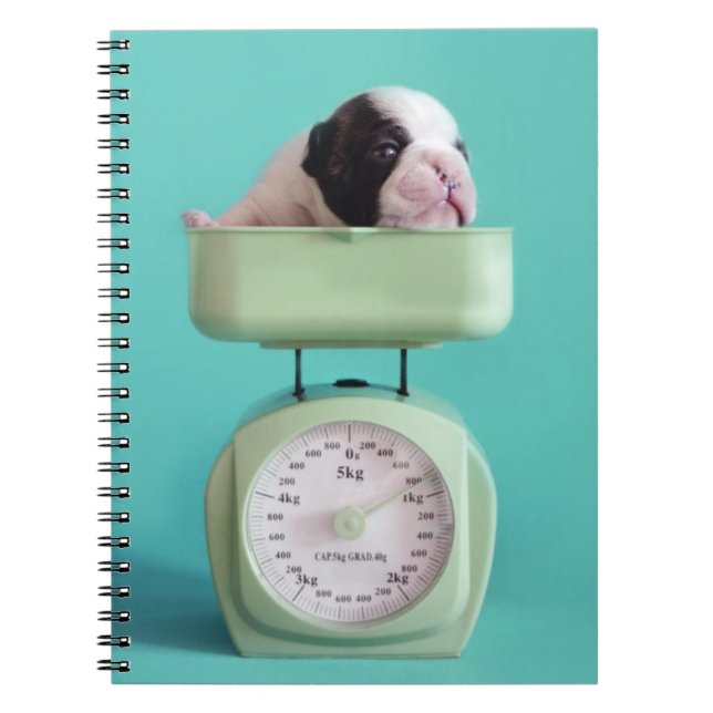 French Bulldog Puppy Notebook (Front)