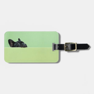 French Bulldog Puppy Peering Over Wall Luggage Tag