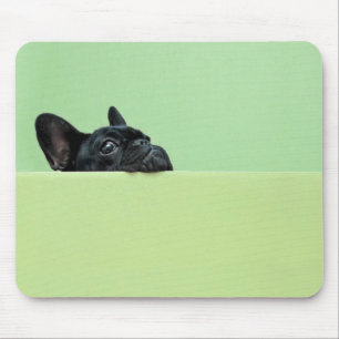 French Bulldog Puppy Peering Over Wall Mouse Pad