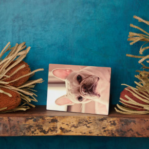 French Bulldog Puppy Plaque