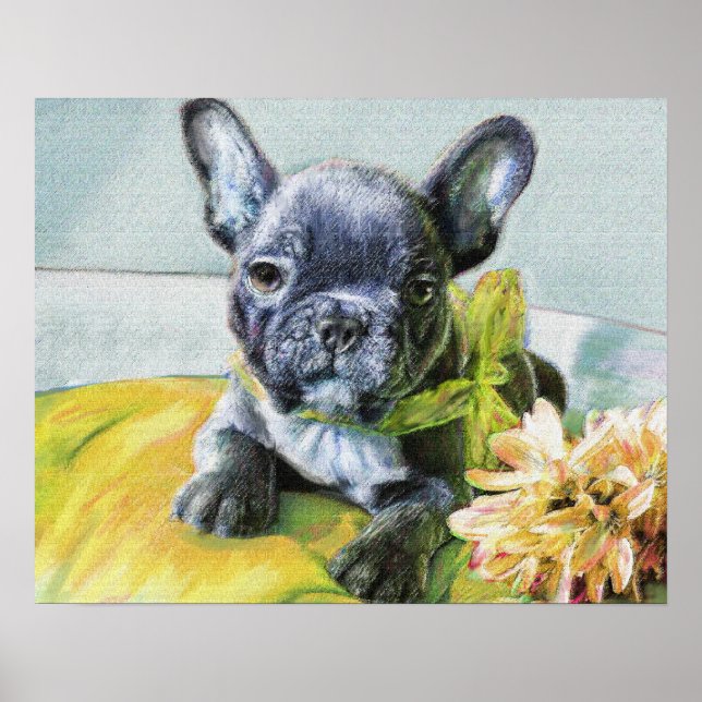 french bulldog puppy poster (Front)