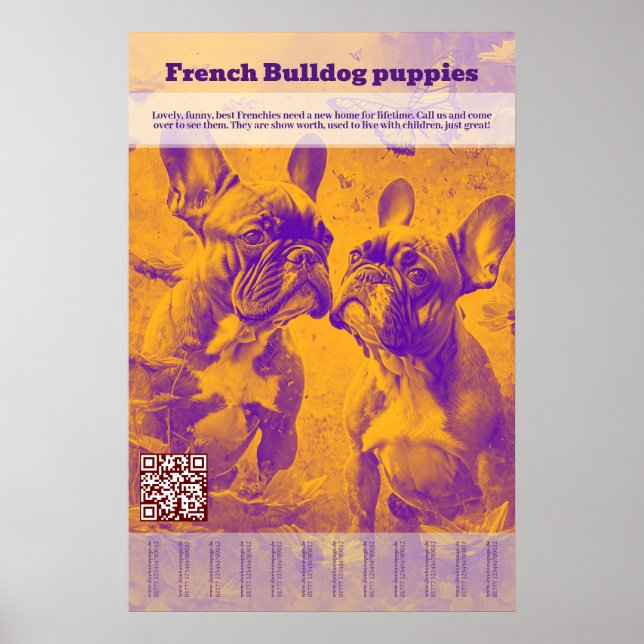 French Bulldog Puppy Selling Tear Off Poster (Front)
