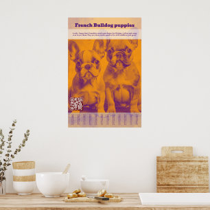French Bulldog Puppy Selling Tear Off Poster