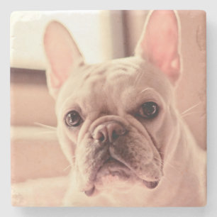 French Bulldog Puppy Stone Coaster