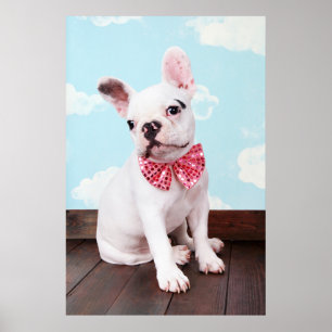 French Bulldog Puppy With Pink Bow Poster