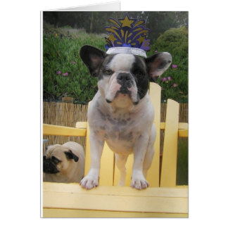 French Bulldog Queen