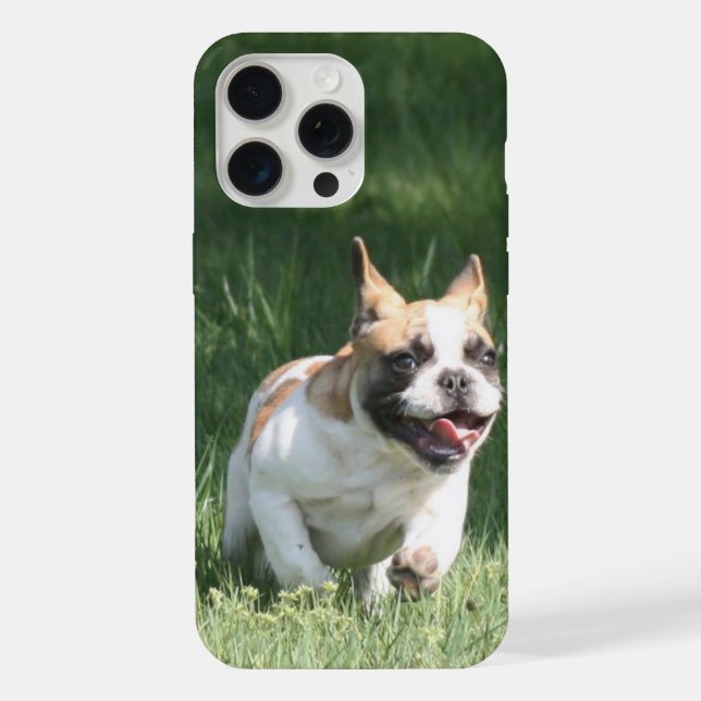 French Bulldog Racing French Bulldog iPhone Case (Back)