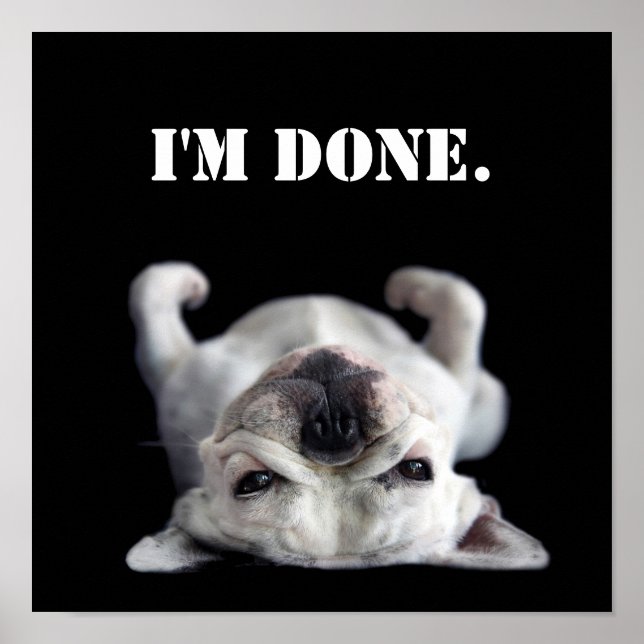 French Bulldog Resting On His Back Poster (Front)