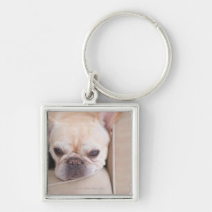 French bulldog resting on sofa key ring