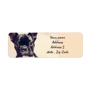 French Bulldog Return Address Label