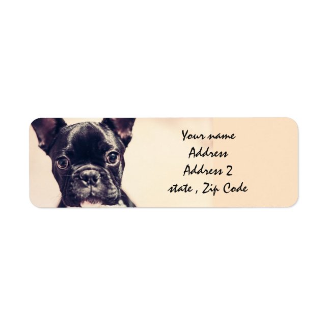 French Bulldog Return Address Label (Front)