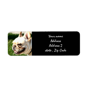 French Bulldog Return Address Label