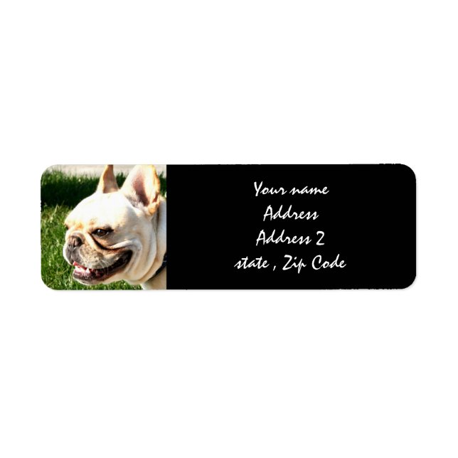 French Bulldog Return Address Label (Front)
