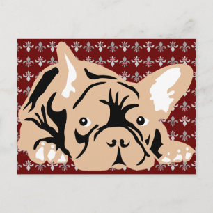 French Bulldog rose Postcard