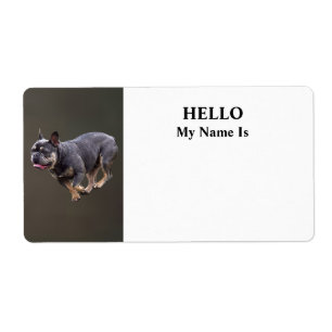 French Bulldog Running