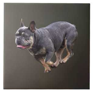 French Bulldog Running Ceramic Tile