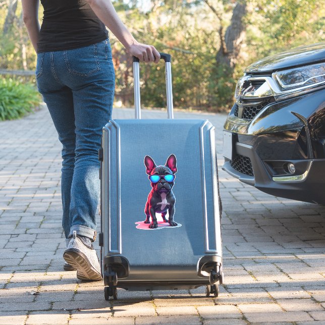 French Bulldog SciFi Wearing Cool Sunglasses (Suitcase Insitu)